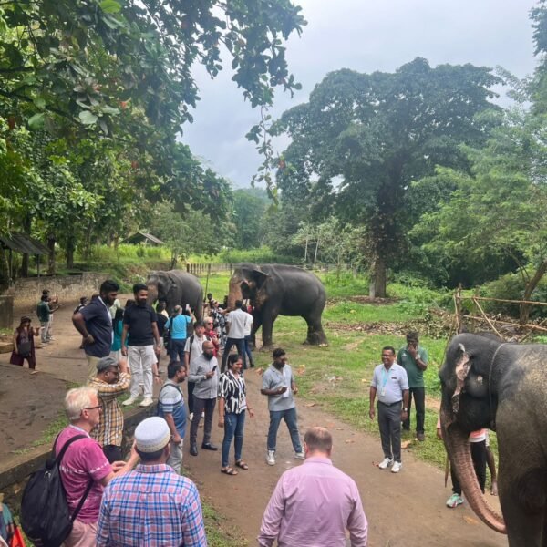 Sri Lanka MICE Expo Fam Tour Takes Guests to&hellip;