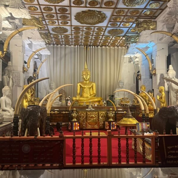 Foreign Delegates of Sri Lanka MICE Expo Experience the&hellip;