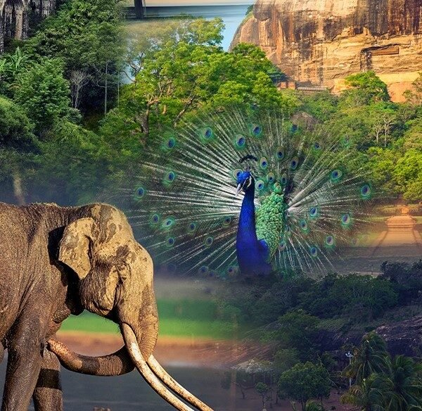 Sri Lanka Tourism Roadshow kicks off in Tamil Nadu:&hellip;