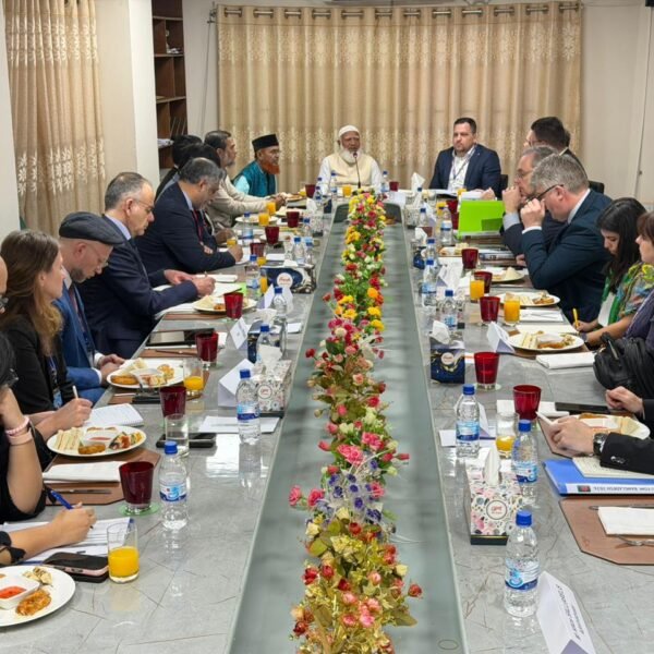 Head of EU Election Observation Mission pays courtesy call&hellip;