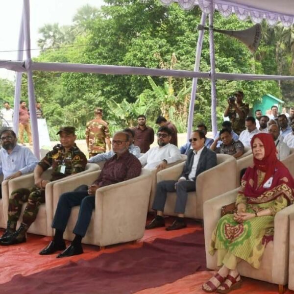 “We want to transform tree plantation into an individual…