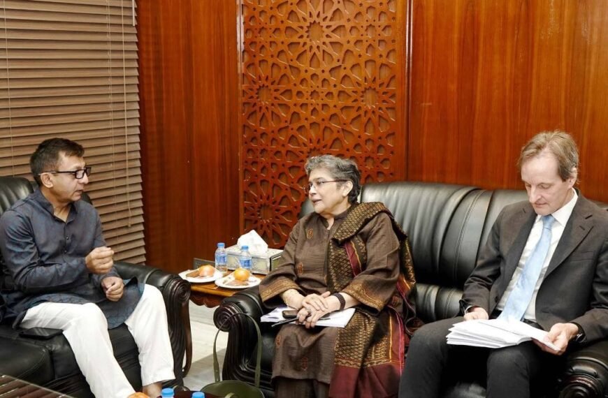 UN Under-Secretary-General Rabab Fatima meets Commerce Minister