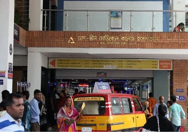 6 newborns die together at the capital’s Ad-Din Hospital
